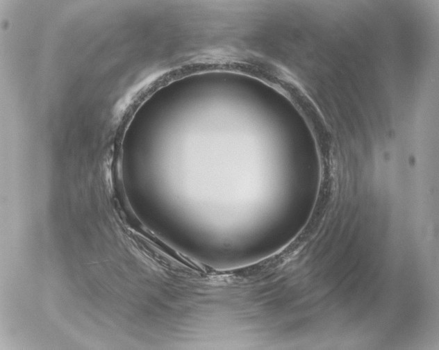 X0000052941304200507221136