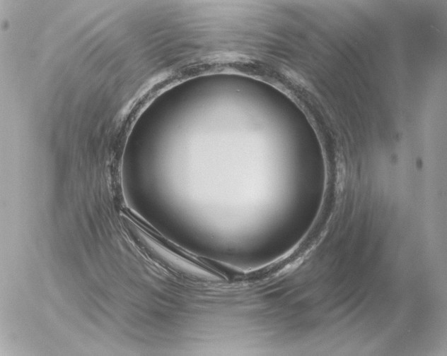 X0000052941305200507221136