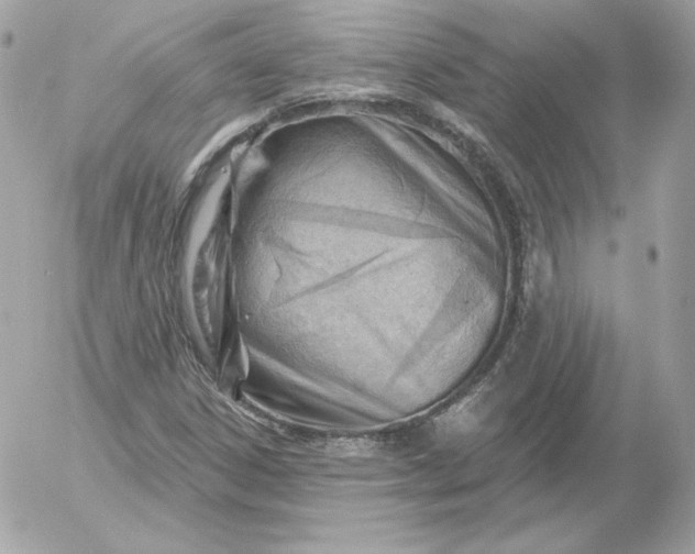 X0000052941306200507221136