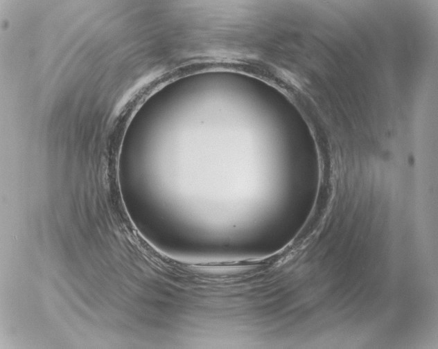 X0000052941307200507221136