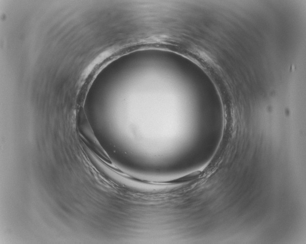 X0000052941308200507221136