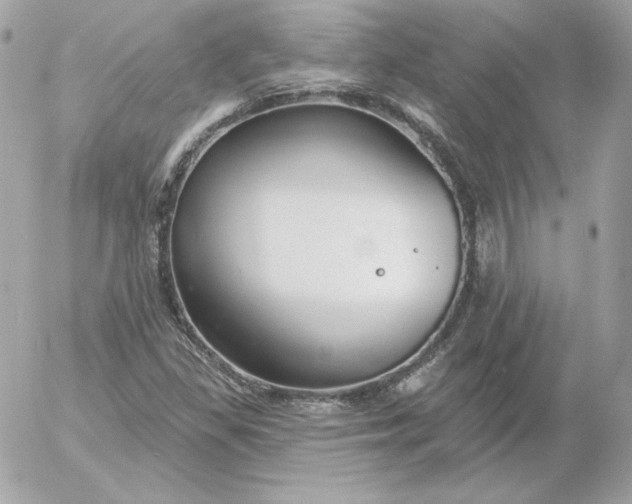 X0000052941309200507221136