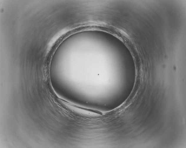 X0000052941310200507221136