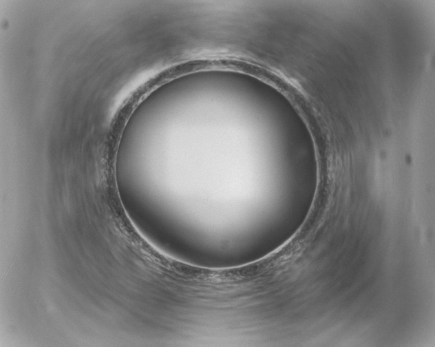 X0000052941311200507221136