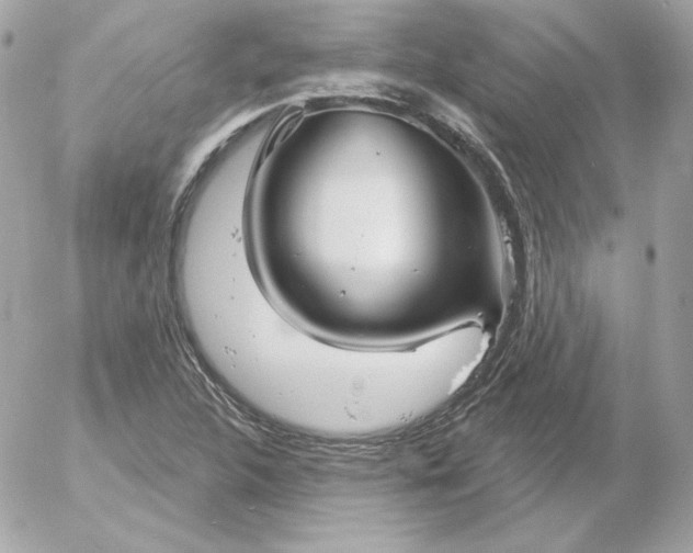 X0000052941312200507221136