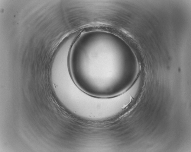 X0000052941313200507221136