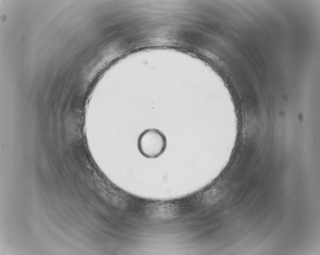 X0000052941314200507221136