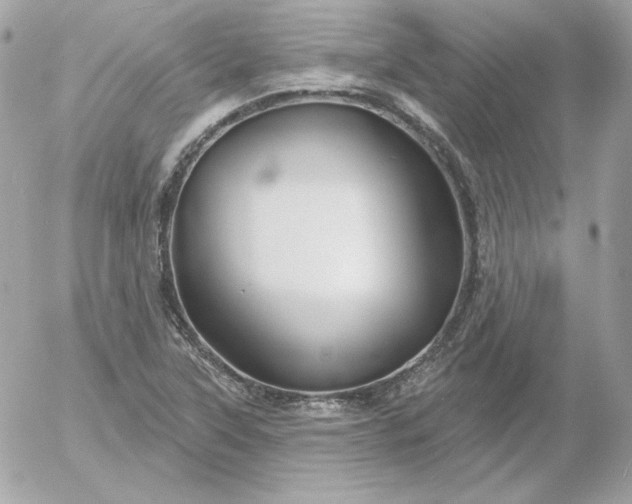 X0000052941315200507221136