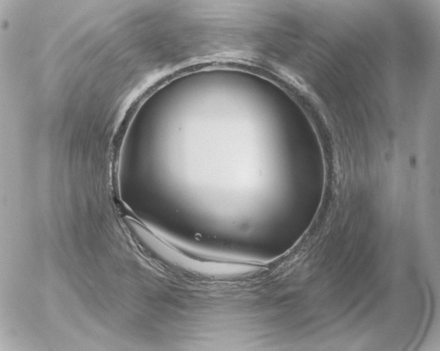 X0000052941316200507221136