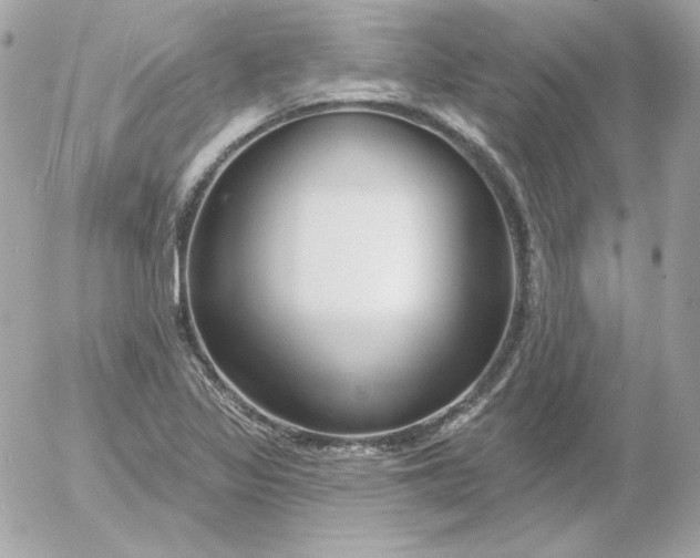 X0000052941317200507221136