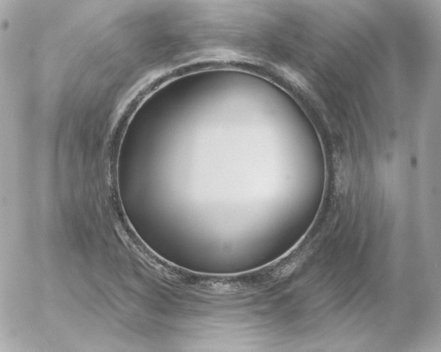 X0000052941318200507221136