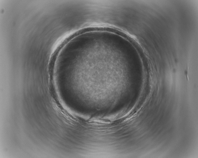 X0000052941319200507221137