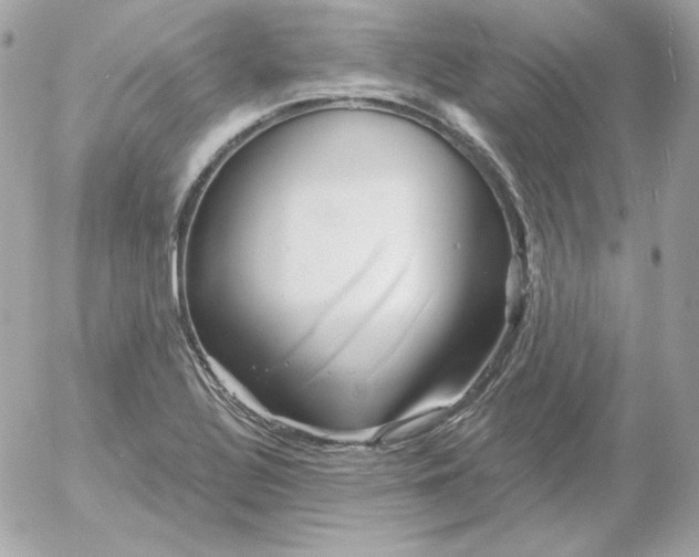 X0000052941320200507221137