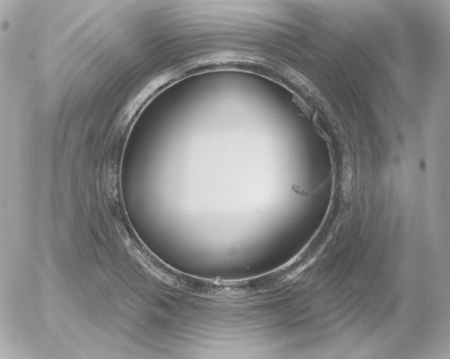 X0000052941321200507221137