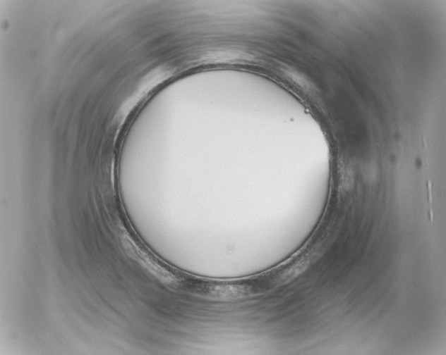 X0000052941322200507221137