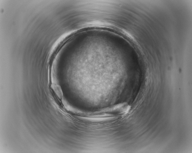 X0000052941323200507221137