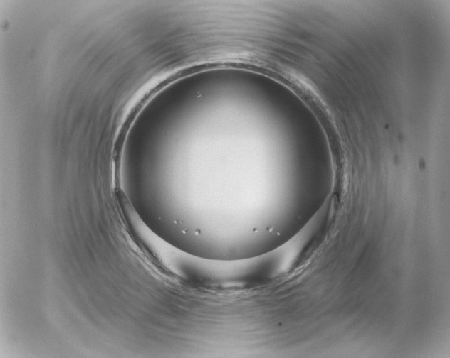 X0000052941324200507221137