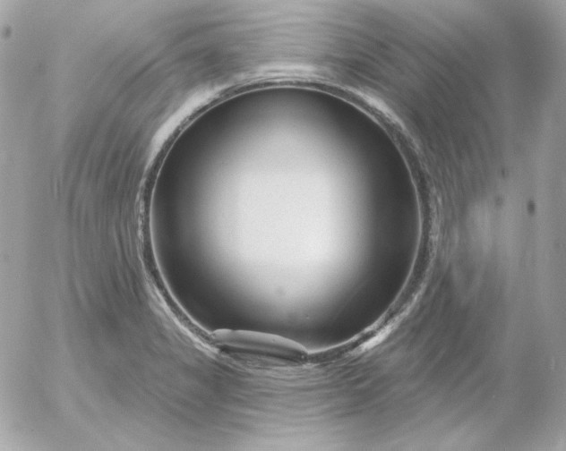 X0000052941325200507221137