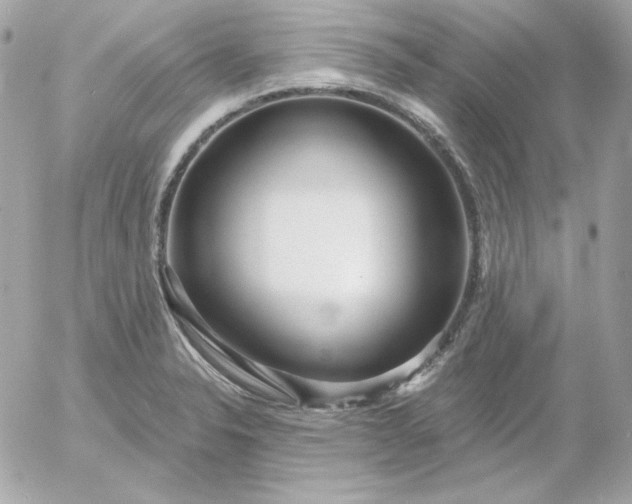 X0000052941326200507221137