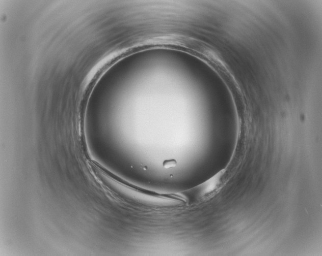 X0000052941328200507221137