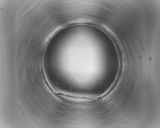 X0000052941329200507221137