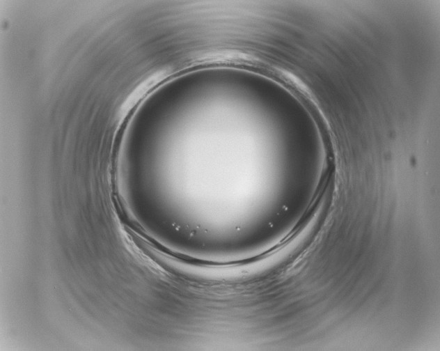 X0000052941330200507221137