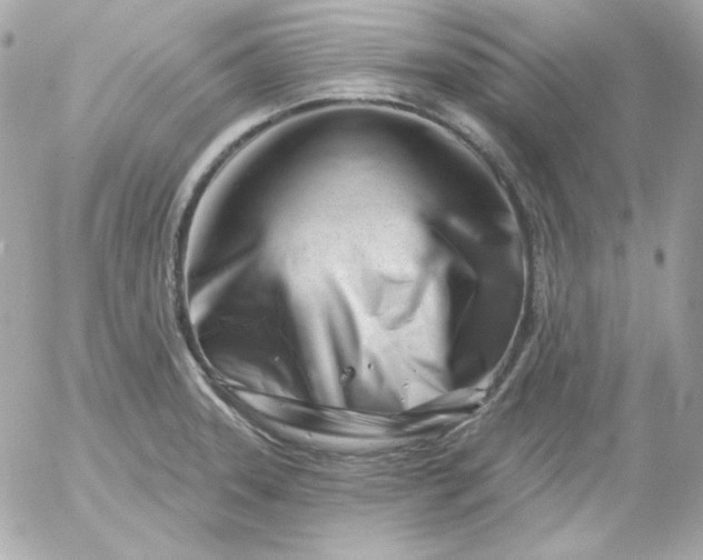 X0000052941331200507221137