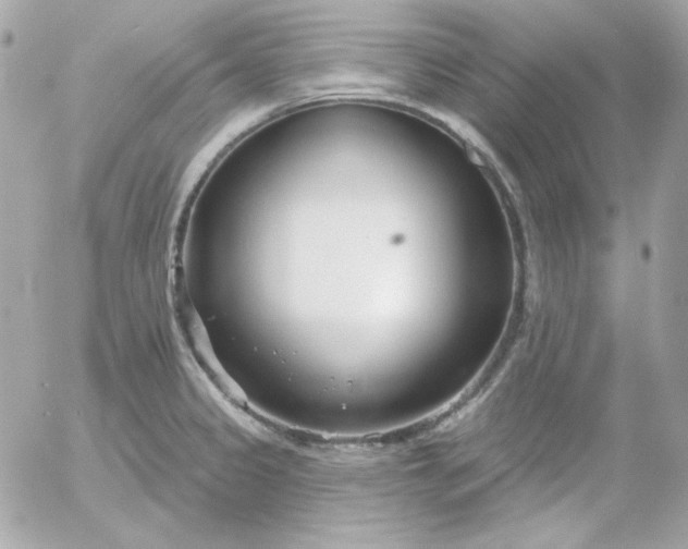 X0000052941333200507221137