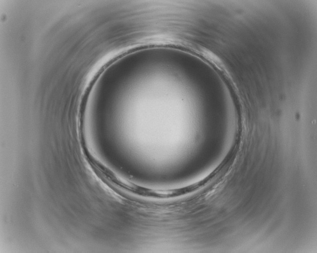 X0000052941334200507221137