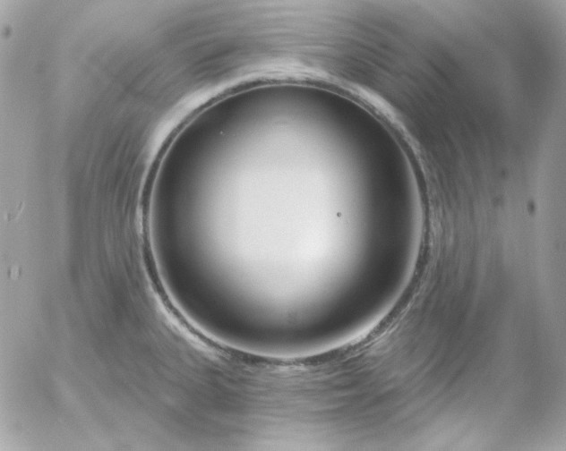 X0000052941335200507221137