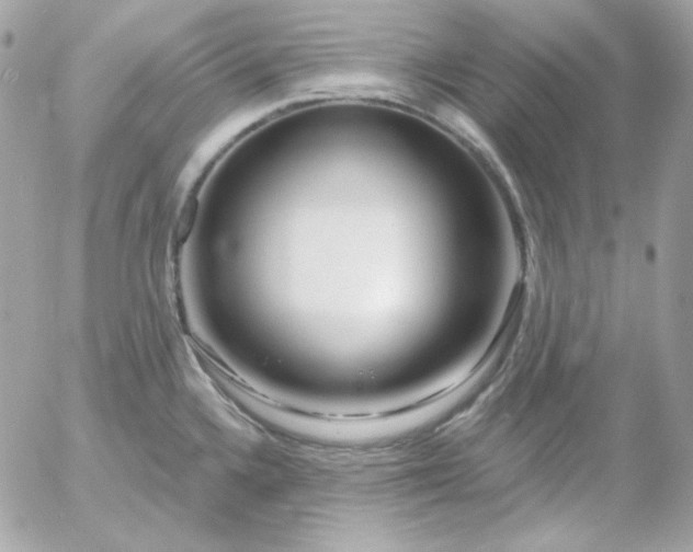 X0000052941336200507221137