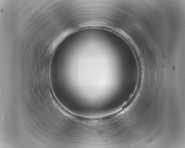 X0000052941337200507221137