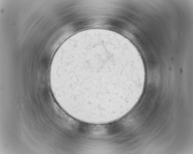 X0000052941338200507221137