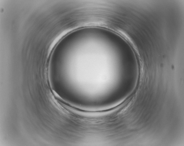 X0000052941340200507221137