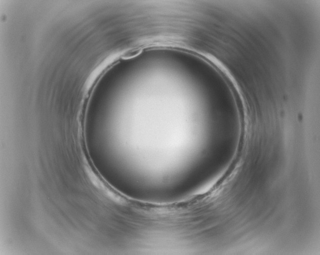 X0000052941341200507221137