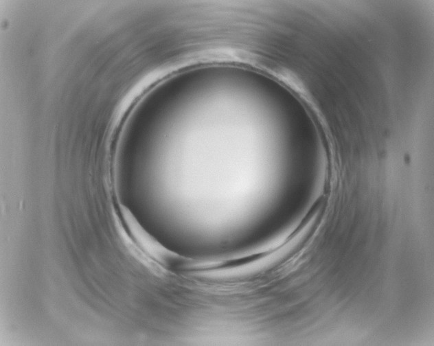 X0000052941342200507221137