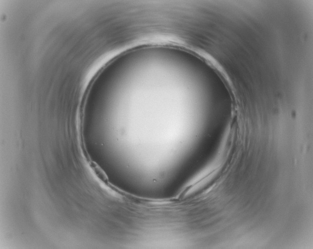 X0000052941343200507221137