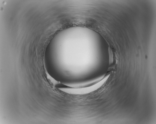 X0000052941345200507221136