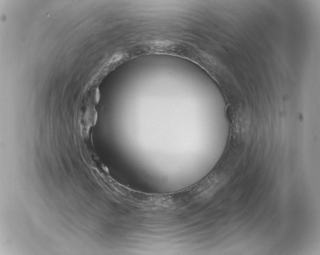 X0000052941346200507221136