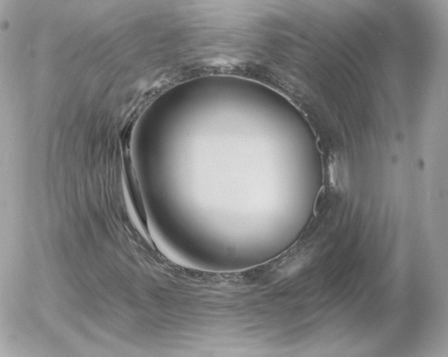 X0000052941347200507221136