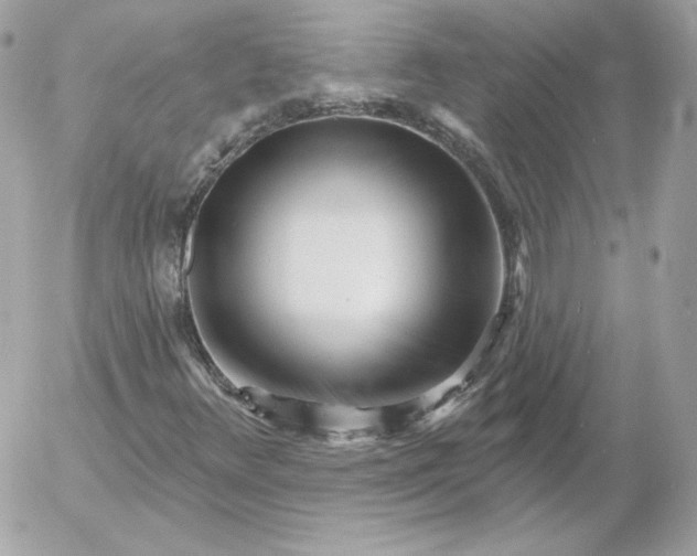 X0000052941348200507221136