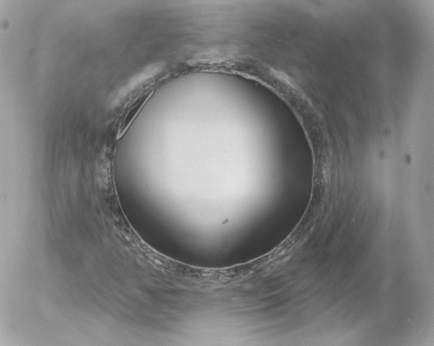 X0000052941350200507221136