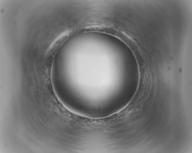 X0000052941351200507221136