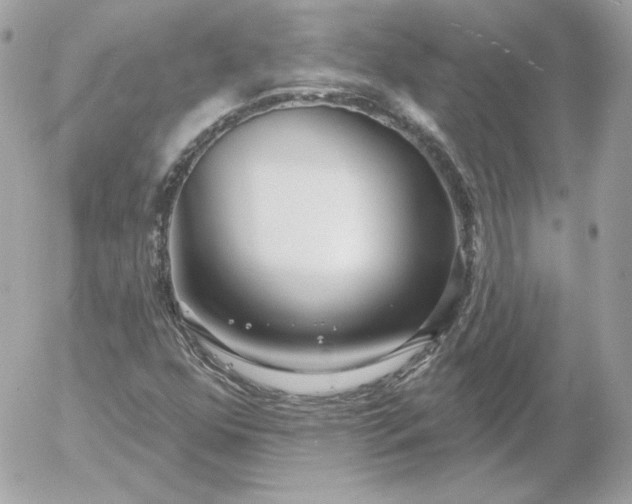 X0000052941352200507221136