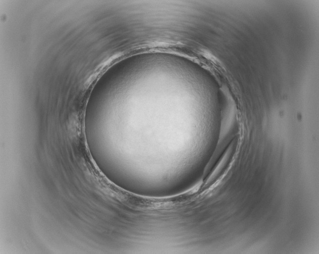 X0000052941353200507221136