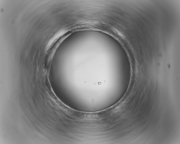 X0000052941354200507221136