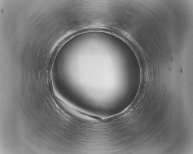 X0000052941356200507221136