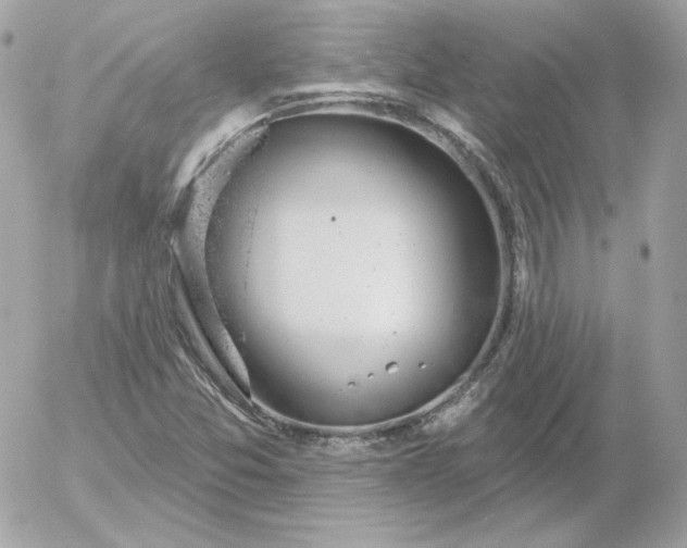 X0000052941357200507221136