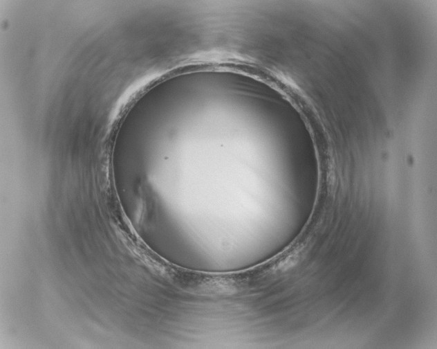 X0000052941358200507221136