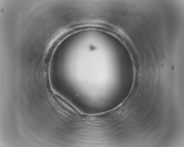 X0000052941360200507221136